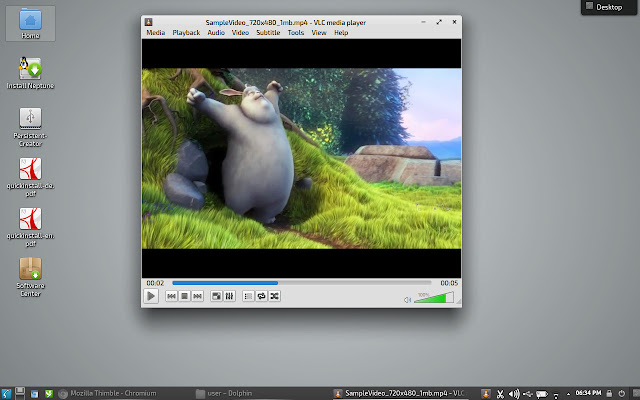 VLC Media Player