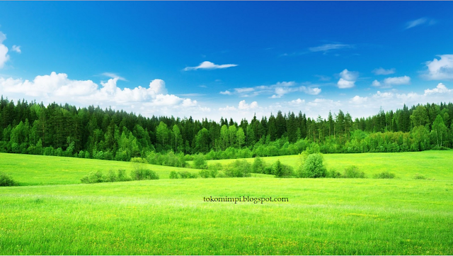 http://tokomimpi.blogspot.com/2016/06/10-tingkatan-surga-impian-umat-islam.html