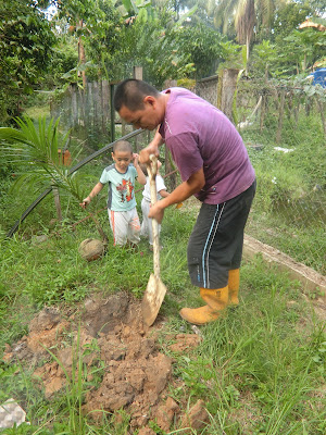 Ajar anak berkebun tanam pokok kelapa mudah dan cepat
