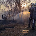 Incêndio atinge área de pastagem e caatinga em Guanambi