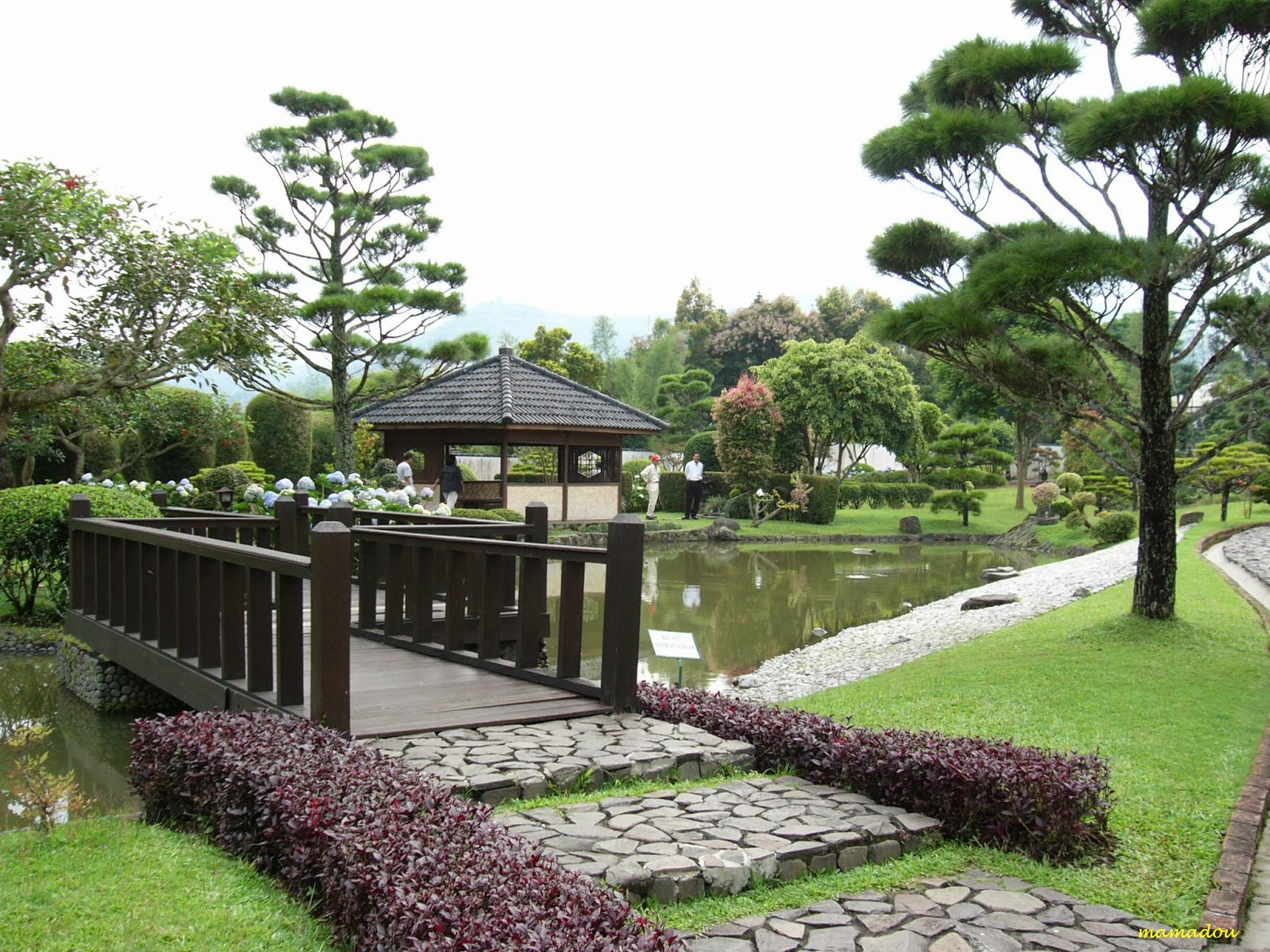  Desain  Taman Rumah  Ala  Jepang 