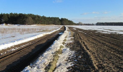 Spaziergang zum Wäldchen