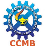 CCMB Hyderabad Project Recruitments 2024 May