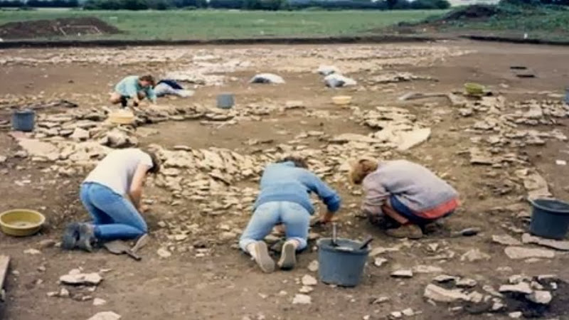 Roman villa mosaic from Stanwick Lakes goes on public display