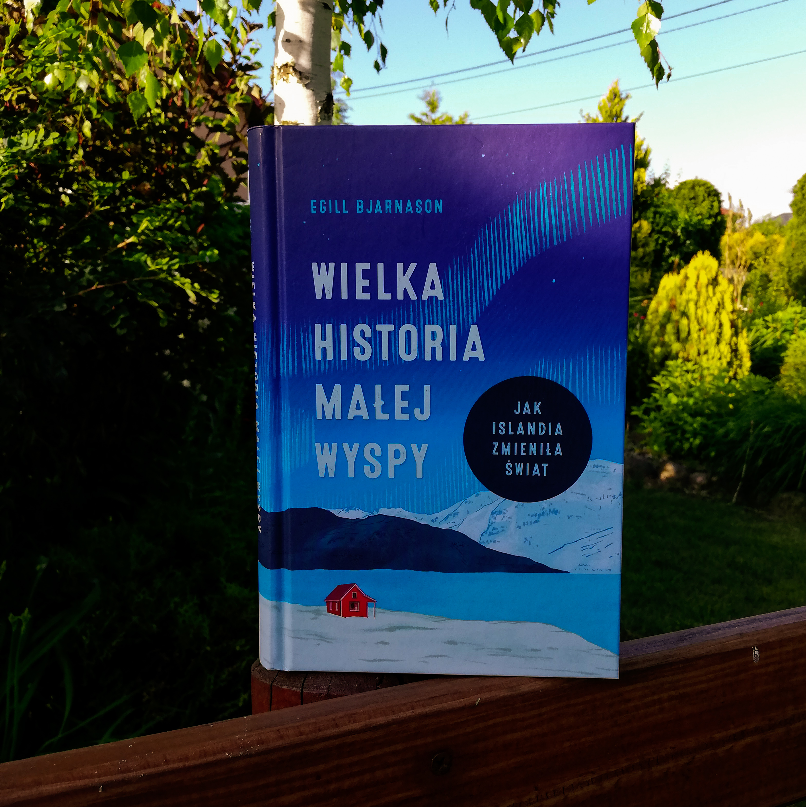 Recenzje książek: Wielka historia małej wyspy. Jak Islandia zmieniła świat -  Egill Bjarnson #238