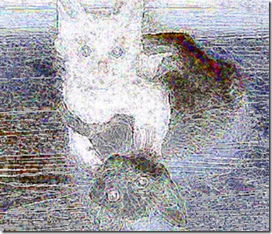 gato-negro-gato-blanco