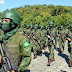 PREPARAÇÃO PARA INSPEÇÃO DA ONU DO GRUPAMENTO OPERATIVO  DE FUZILEIROS NAVAIS DE FORÇA DE PAZ (GptOpFuzNav-FPaz
