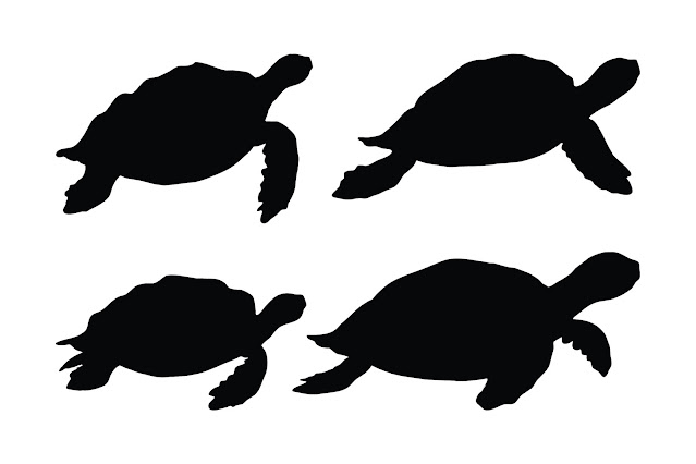 Turtle swimming in different positions free download
