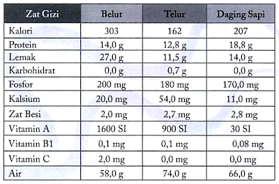 Pemanfaatan Ikan Belut