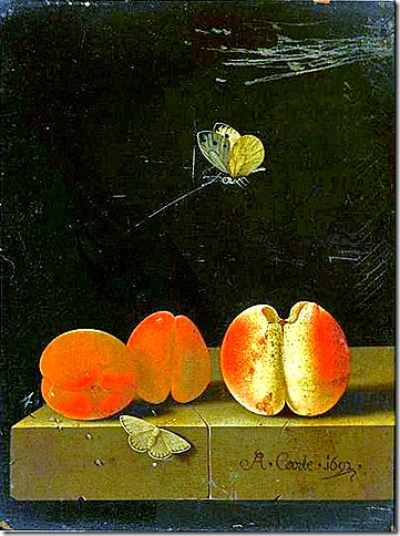 Adriaen Coorte, Still Life Early 18th century