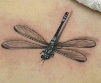 Dragonflies Tattoos may be numerous various colors, and for males that 