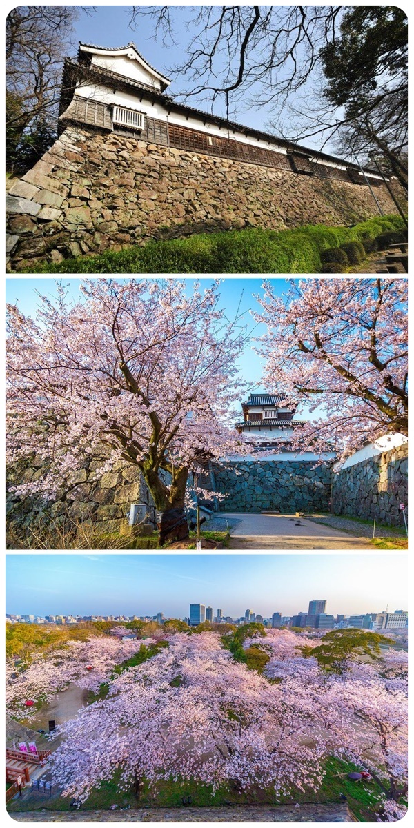 ซากปราสาทฟุกุโอกะ (Fukuoka Castle Ruins: 福岡城跡)