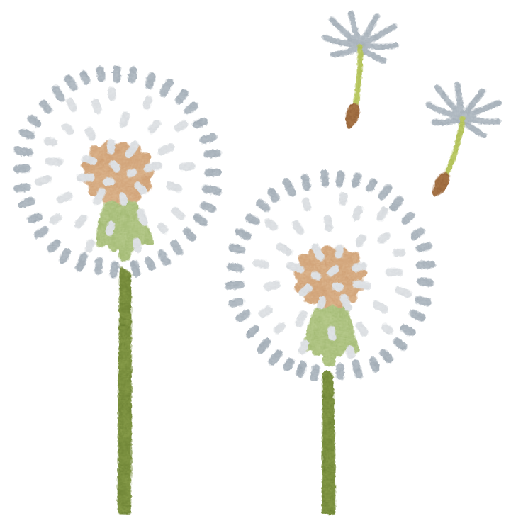 たんぽぽの綿毛のイラスト かわいいフリー素材集 いらすとや たんぽぽの綿毛のイラスト かわいいフリー素材集 いらすとや
