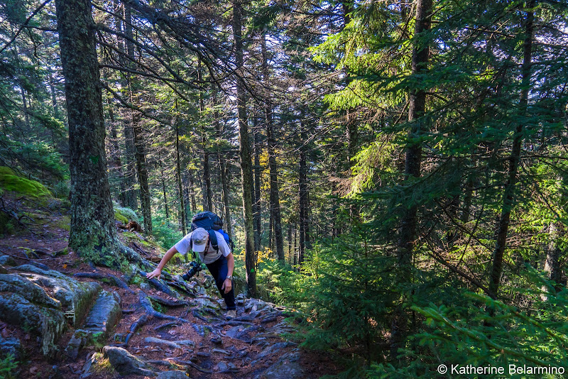 Borestone Mountain Summit Trail Maine Hiking Moosehead Pinnacle Pursuit