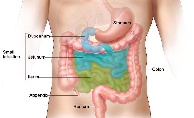 Neuroendocrine Tumors (NETs): Symptoms and Causes