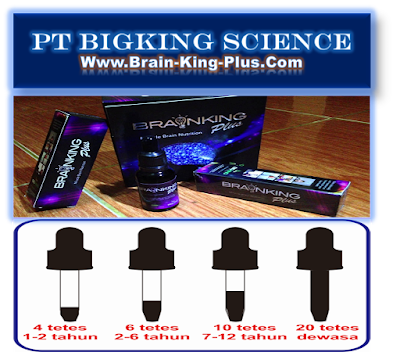 Braining Plus | Brainking Plus Indonesia