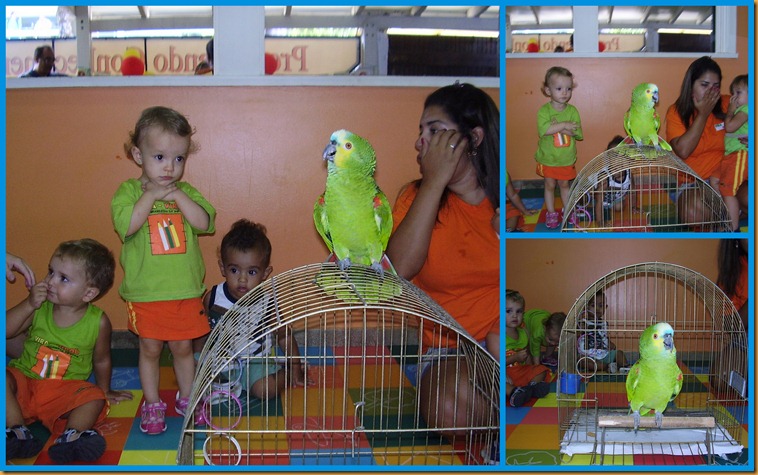 FOTO RAFAELA BLOG14