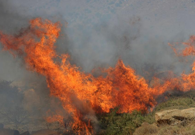  Συνελήφθη Τούρκος την ώρα που έβαζε φωτιά.. Οι αρχές της Ηπείρου διερευνούν την υπόθεση