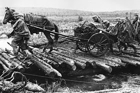 German troops in Finland , 1941