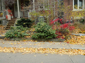 Riverdale Toronto Fall Cleanup Front Garden Before by Paul Jung Gardening Services--a Toronto Gardening Services Company