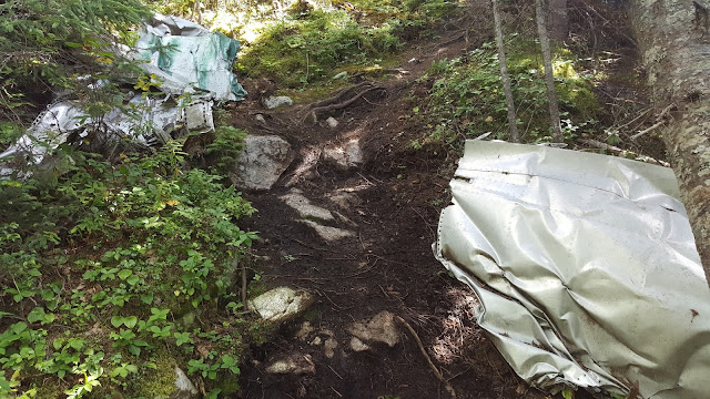 Débris d'avion sur le sentier du mont du Four