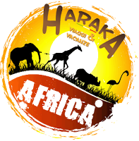 Zanzibar Agenzia Haraka