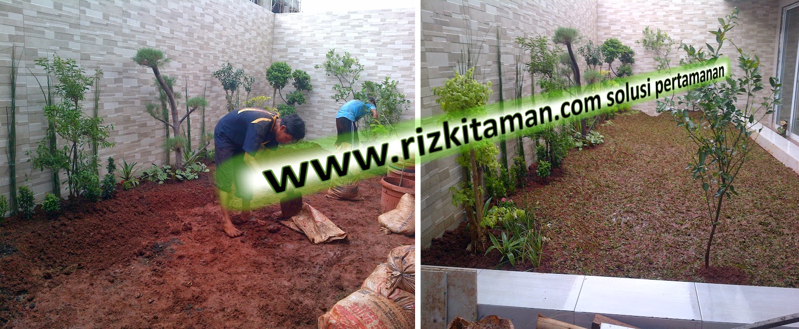 Taman Minimalis Solusi Untuk Taman Rumah Ahli Dekorasi Taman