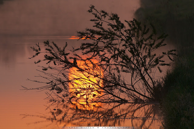 Reflectie van de opkomende zon in het water - Reflection of the rising sun in the water