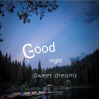 Good night wishes 2022 for friends