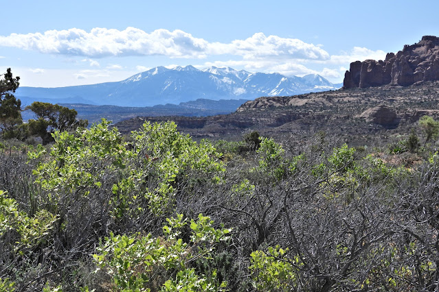 Arches National Park