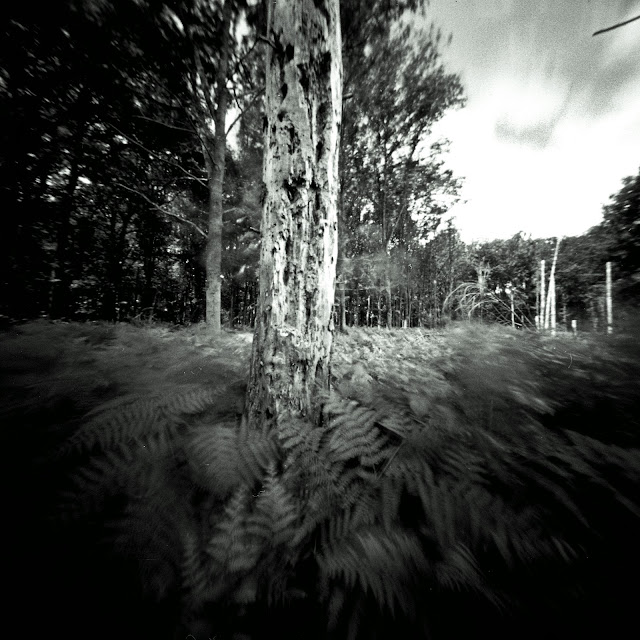 RealitySoSubtle 6x6 pinhole shot. Photo: Robert van der Kroft.