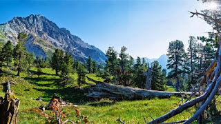 Swiss National Park : Natural Beauty Of Protection Forest