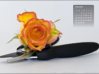 Wallpaper Calendar For September 2009