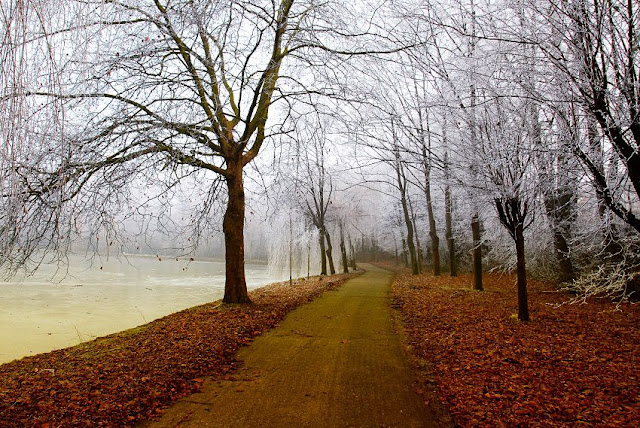 Der gnadenlose November, herbst, spätherbst, wetter, natur, see, park, weg, bäume, zweige, frostige küsse, rostbraune blätter, kalte erde, verfall, winterschlaf, texte schreiben, jahreszeiten poesie, blog, poetisch, lyrik, bild, foto