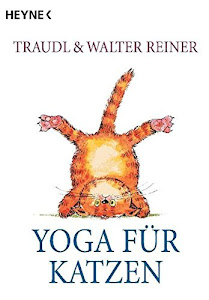 Yoga für Katzen