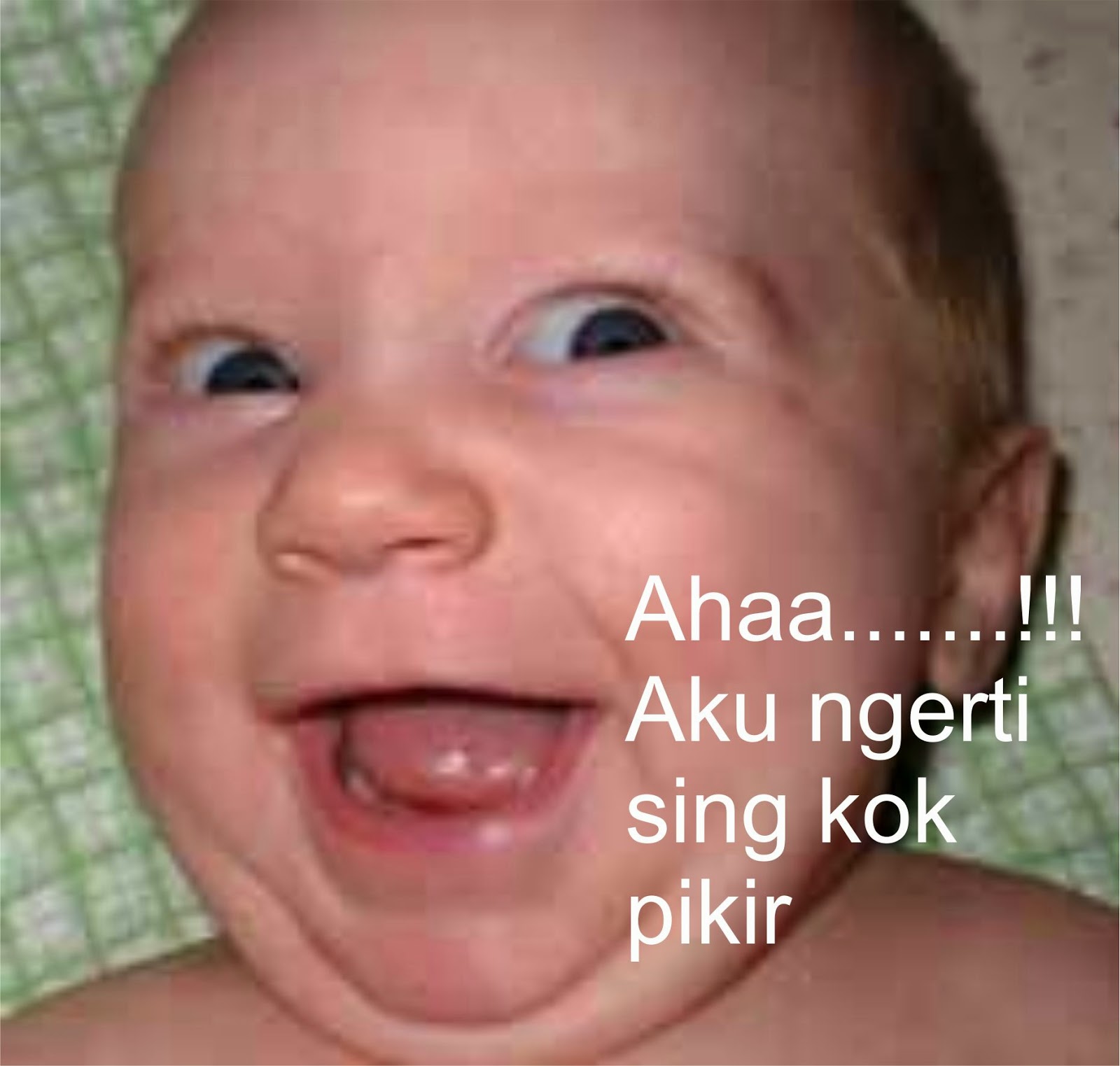 Gambar Lucu Buat Frofil Fb Terlengkap  Display Picture Unik