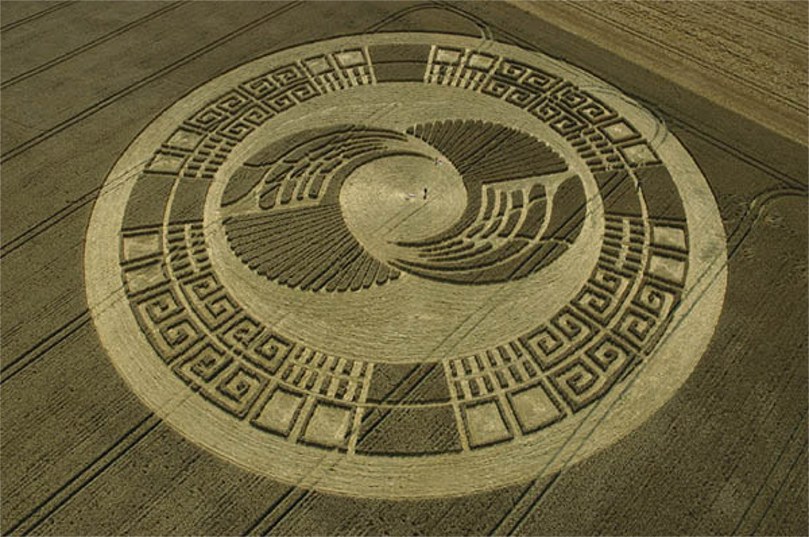 Fenomena Crop Circle Lingkar Tanaman Pola Unik