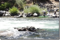 IMG_2672 IMG_2672