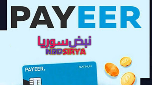 ما هي محفظة بايير , نظرة شاملة