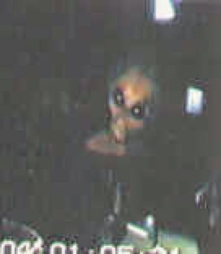Interviews With Aliens