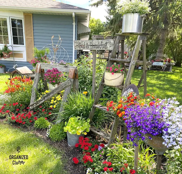 The Front Yard Flower Border 2012-2020