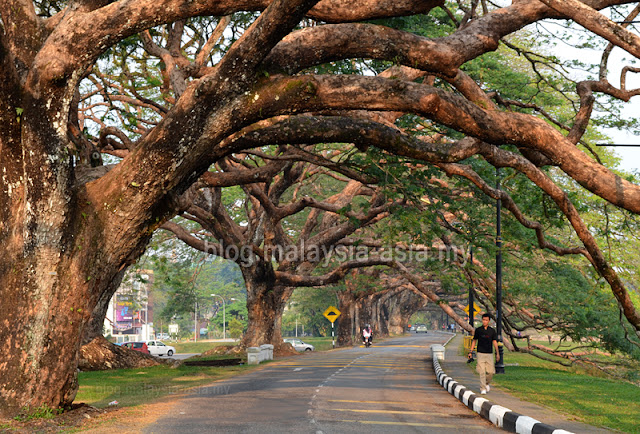 Taiping Perak