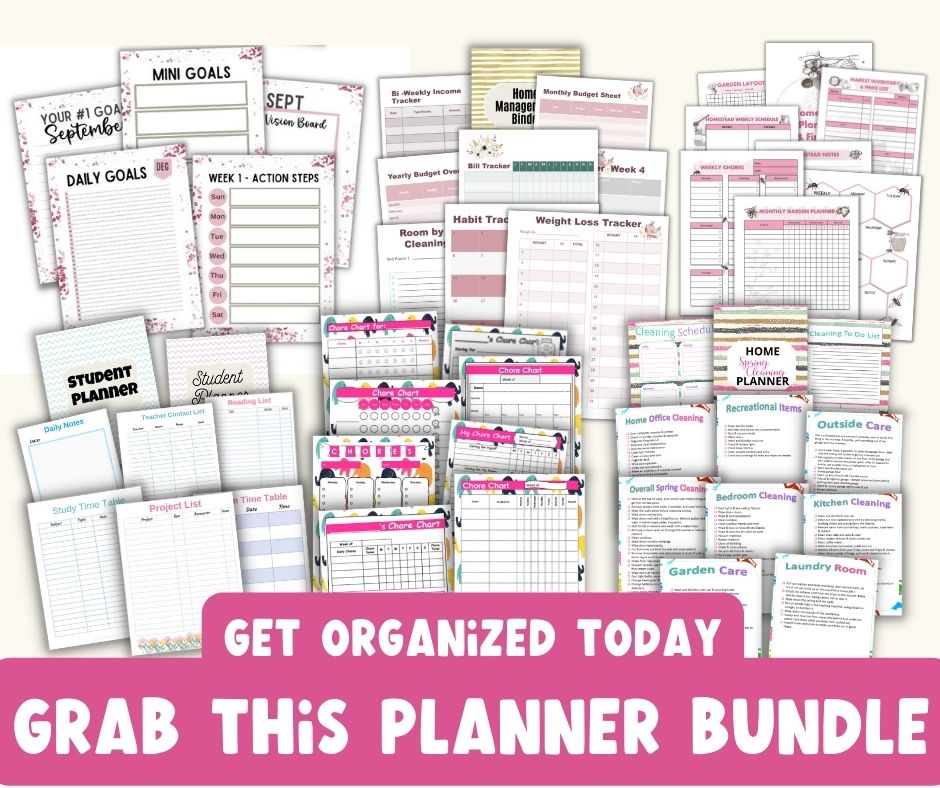 Planners for setting mini goals