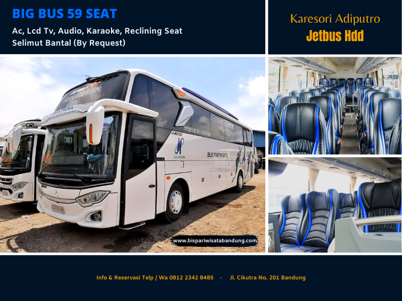 Big Bus Jetbus Hdd 59 Seat