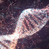 ΑΡΧΑΙΟ DNA «ΜΙΛΗΣΕ»: ΟΙ ΣΗΜΕΡΙΝΟΙ ΕΛΛΗΝΕΣ ΟΜΟΙΟΙ ΓΕΝΕΤΙΚΑ ΜΕ ΠΛΗΘΥΣΜΟΥΣ Β. ΑΙΓΑΙΟΥ ΤΟΥ 2.000 π.Χ