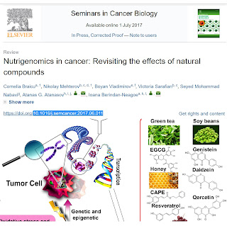 Nutrigenomics in cancer: revisiting the effects of natural compounds image 1