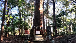 人文研究見聞録：麻賀多神社（成田市台方） ［千葉県］