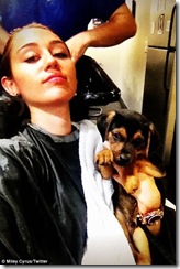 miley-cyrus-apuesta-por-el-cambio-de-look-01