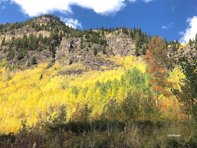 Rocky Mountains, yellow and red trees