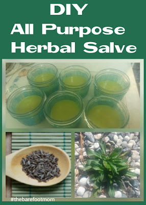 DIY All Purpose Herbal Salve from The Barefoot Mom